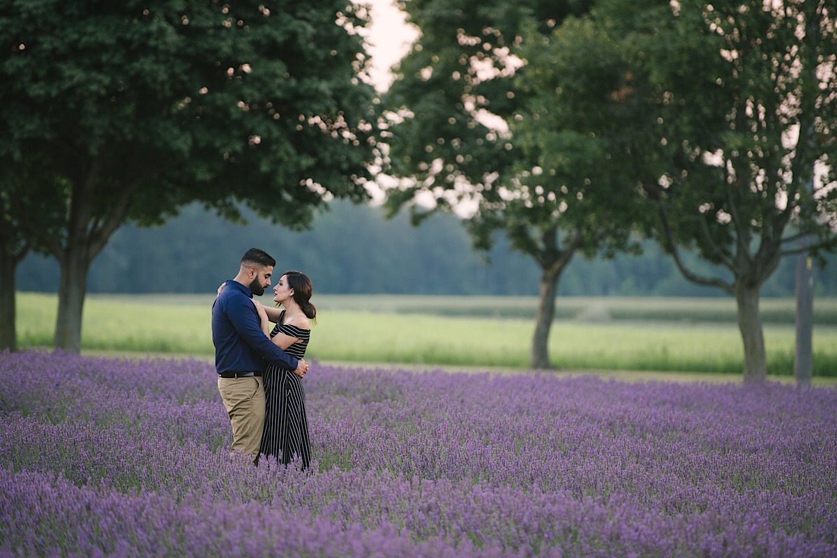 lavender-field-engagement-photos-bonnie-heath-1